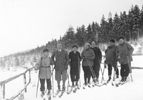 1931
