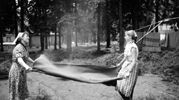 1954