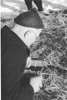 1955