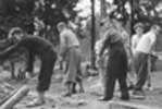 1956