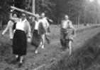 1956