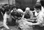 1956